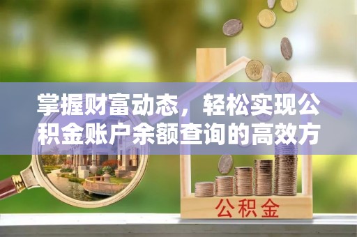 黄龙掌握财富动态，轻松实现公积金账户余额查询的高效方法