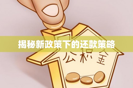 黄龙揭秘新政策下的还款策略