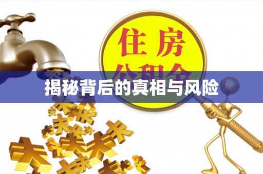 黄龙揭秘背后的真相与风险