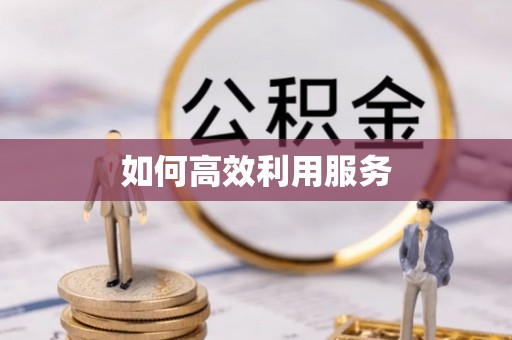 黄龙如何高效利用服务