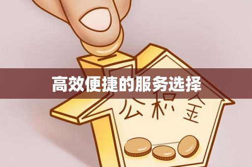 黄龙高效便捷的服务选择